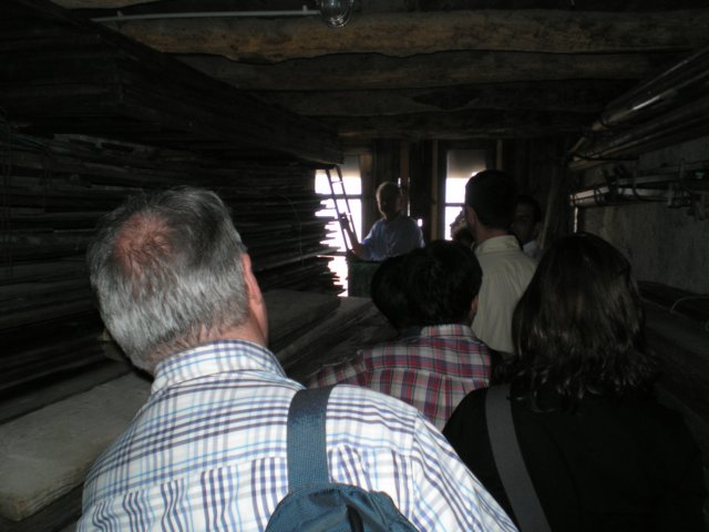 p5130227.jpg